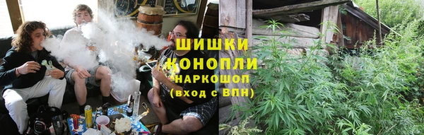 ГАЛЛЮЦИНОГЕННЫЕ ГРИБЫ Арсеньев