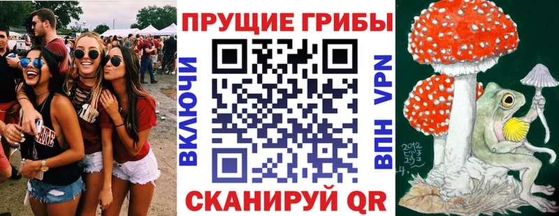 ОМГ ОМГ ONION  Советская Гавань  Галлюциногенные грибы прущие грибы 